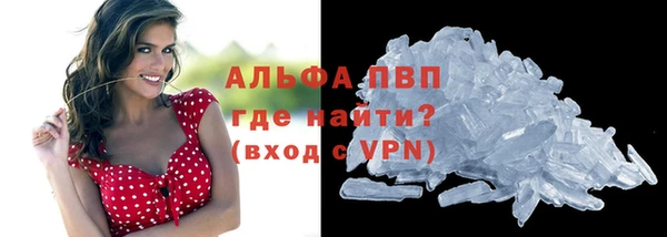 гидра Михайловка