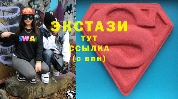 гидра Михайловка