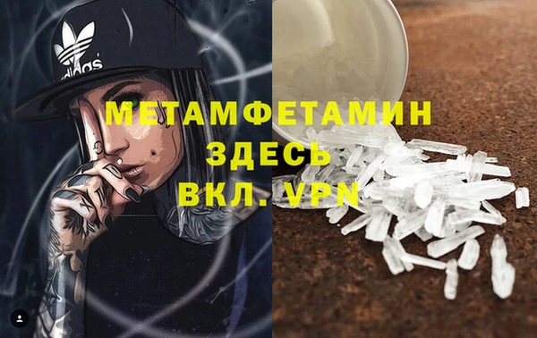 гидра Михайловка