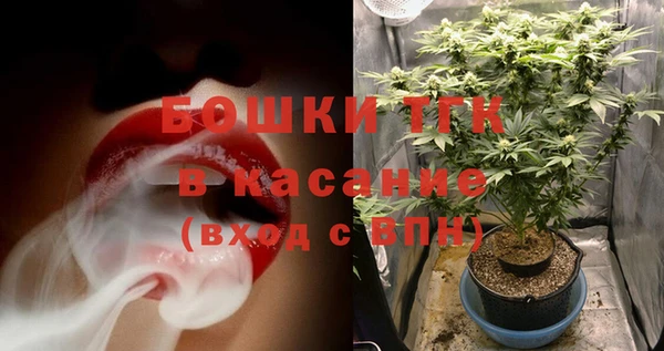 гидра Михайловка