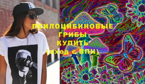 ешки Михайлов