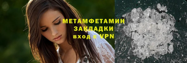 гидра Михайловка